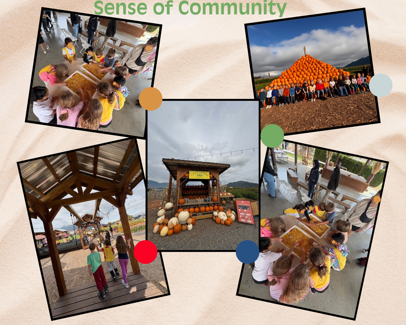 At the start of every school year, we kick things off with a special whole-school field trip to Greendale Acres—a tradition that began when our school first opened and one I’m proud to continue. Parents and guardians are invited to join us, making this a wonderful opportunity for families, students, and staff to connect, build relationships, and foster a true sense of belonging. It’s a joyful way to start the year together and celebrate the strong community that makes our school so special.